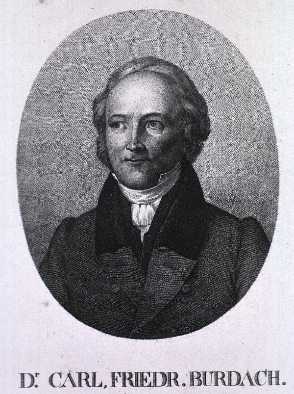 carl_friedrich_burdach_kl-1656915863.jpg